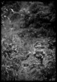 /album/photos/montage-43-jpg/